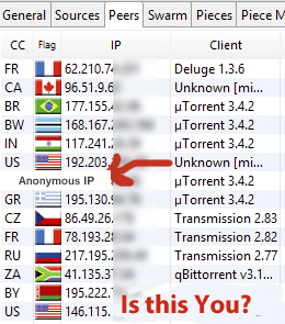 IP address visible in public torrent swarm