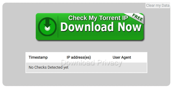 Torguard's 'Check IP Tool'