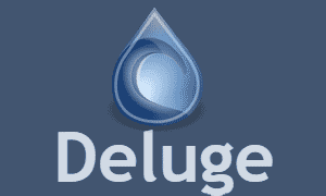 How to use Deluge Anonymously