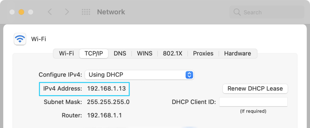 IPv4 address in visible in the Network settings on MacOS