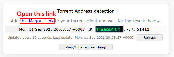 Tracking torrent magnet link for IPleak.net 