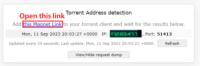 Tracking torrent magnet link for IPleak.net